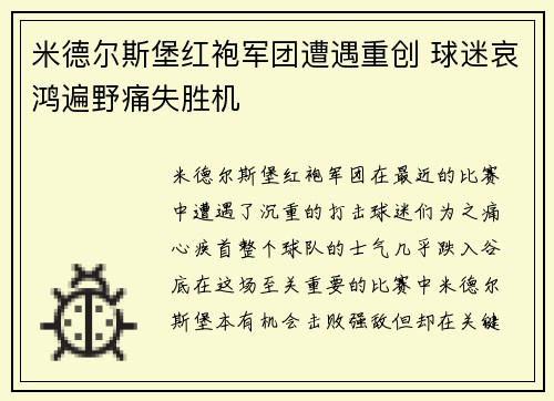 米德尔斯堡红袍军团遭遇重创 球迷哀鸿遍野痛失胜机